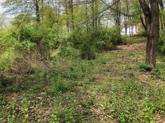 EVERGREEN DRIVE LOT 23, WEST PENN TOWNSHIP, PA 18252, photo 4 of 8