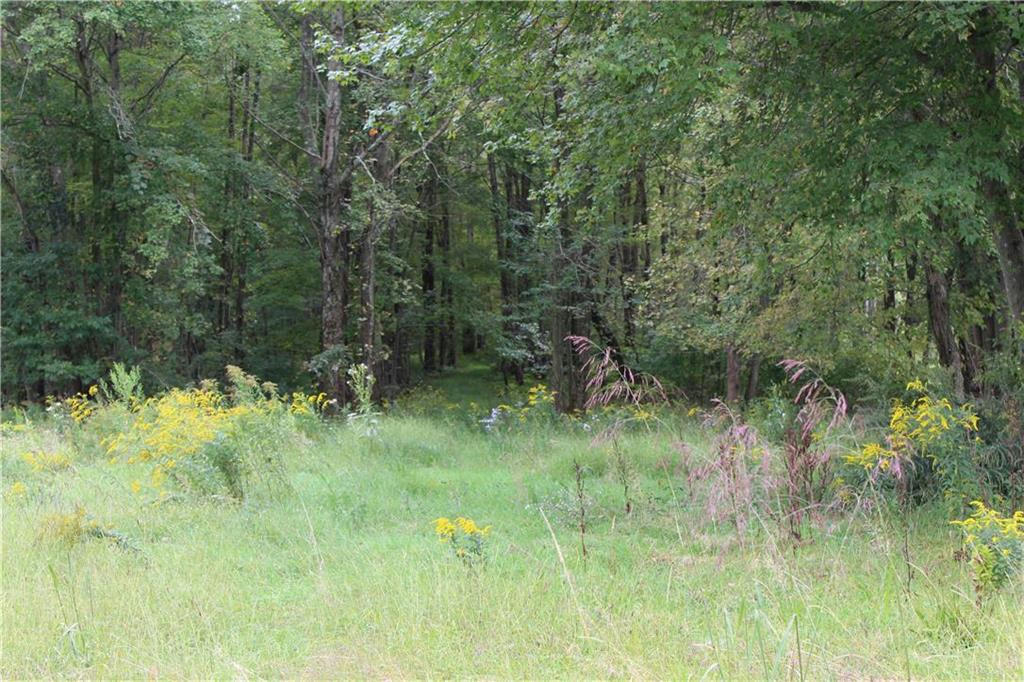 SUMMER VALLEY ROAD LOT #4, WEST PENN TOWNSHIP, PA 17960, photo 1