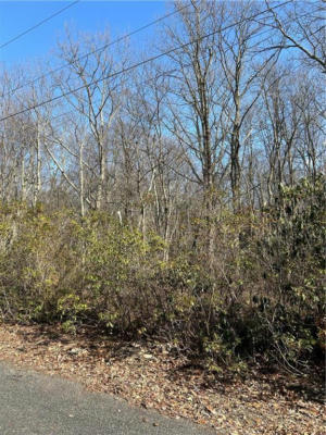 LOT B9 W. CLARKS LN, PENN FOREST TOWNSHIP, PA 18229, photo 2 of 3