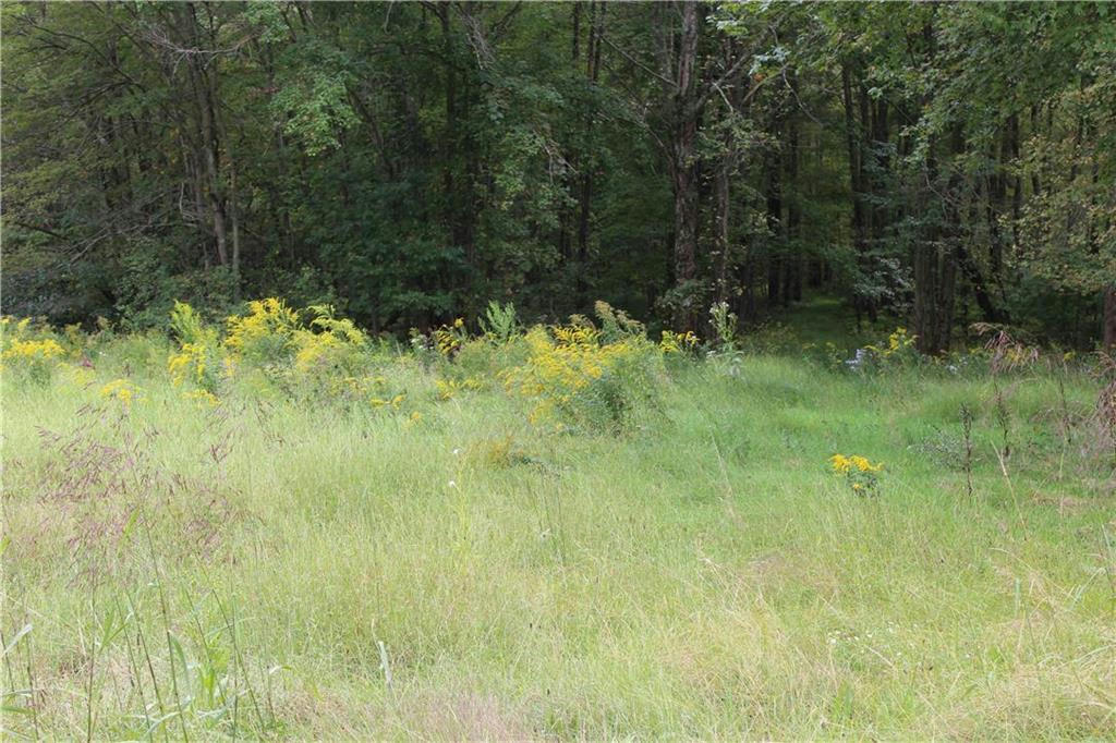 SUMMER VALLEY ROAD LOT #1, WEST PENN TOWNSHIP, PA 17960, photo 1