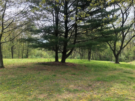 EVERGREEN DRIVE LOT 23, WEST PENN TOWNSHIP, PA 18252, photo 2 of 8
