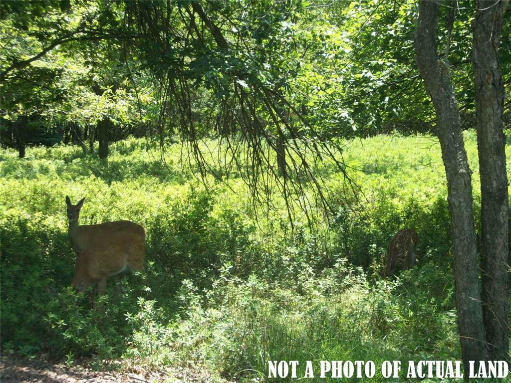 245 TOWAMENSING TRL, ALBRIGHTSVILLE, PA 18210, photo 1