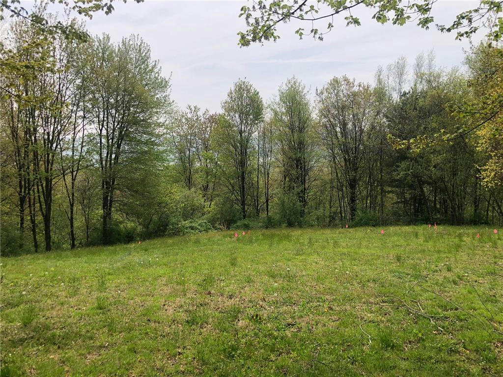 EVERGREEN DRIVE LOT 23, WEST PENN TOWNSHIP, PA 18252, photo 1 of 8