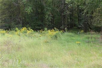 SUMMER VALLEY ROAD LOT #2, WEST PENN TOWNSHIP, PA 17960, photo 1